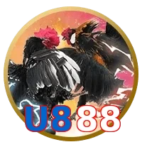 U888